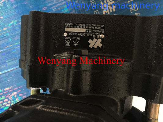 оригинальные запасные части двигателя YTO, насос воды YTR4105G69.510000 поставщик