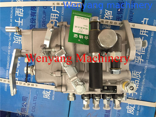 поставка оригинальных запасных частей двигателя YTO для топливного впрыска 4PL106 поставщик